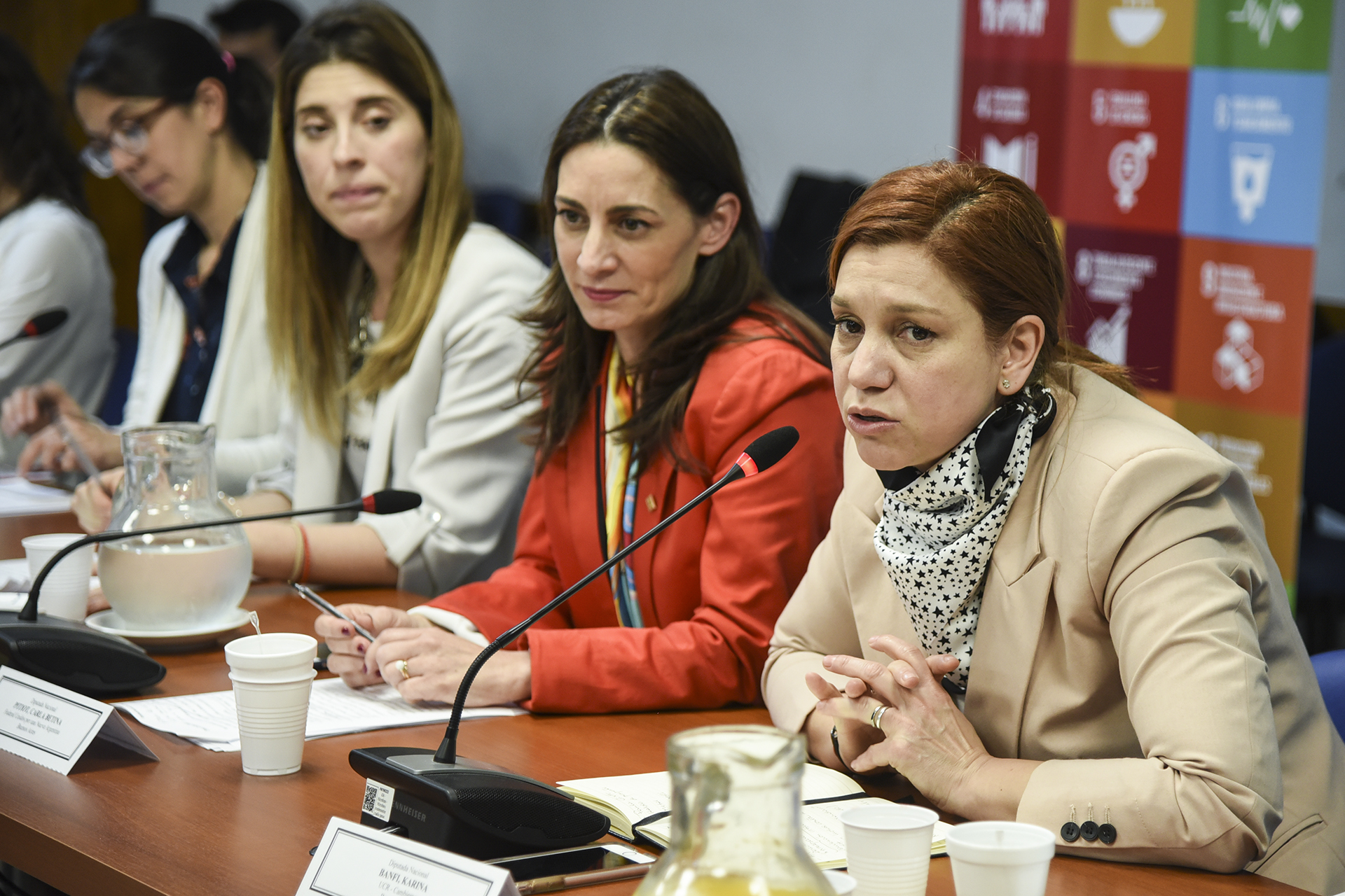 Galeria de imagenes de la noticia SE DESARROLLÓ EN DIPUTADOS UNA JORNADA DE FORTALECIMIENTO DE LAS INSTITUCIONES
